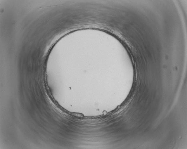 X0000069361500200606091548