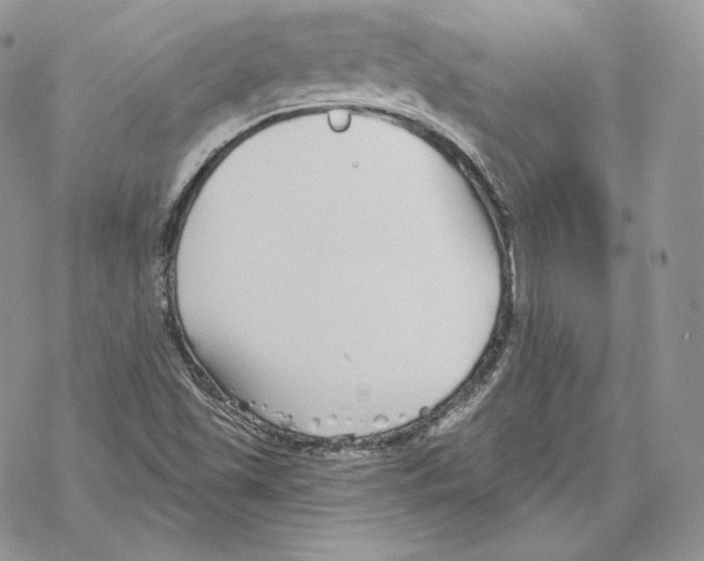 X0000069361501200606091548