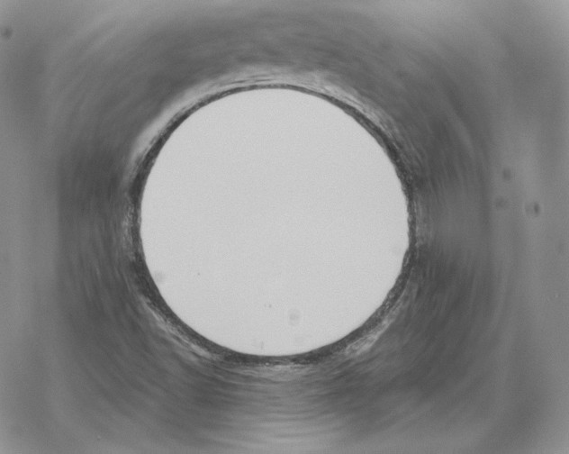 X0000069361502200606091548