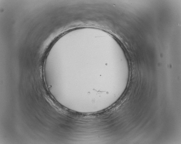 X0000069361503200606091548