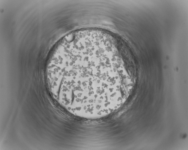 X0000069361505200606091548