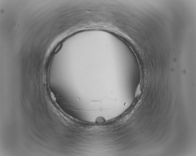 X0000069361506200606091548