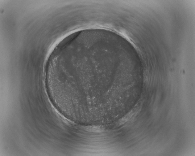 X0000069361508200606091548