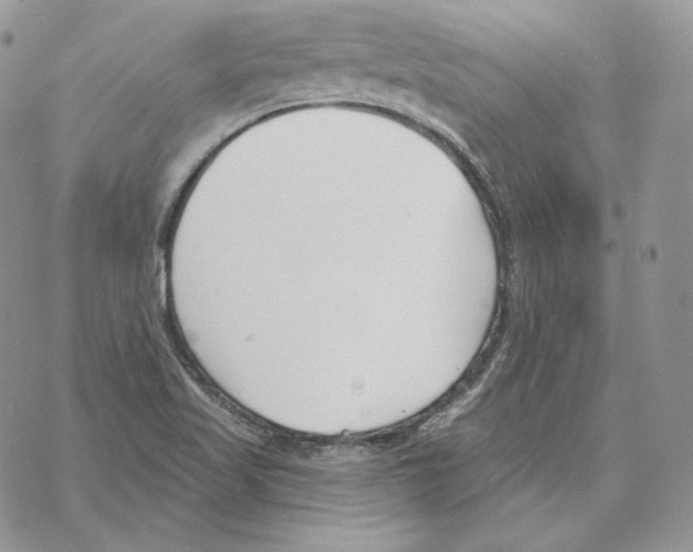 X0000069361509200606091548