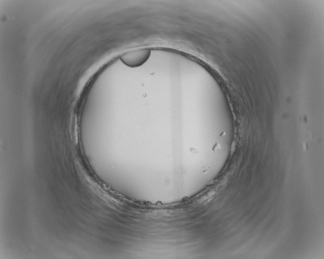 X0000069361510200606091548