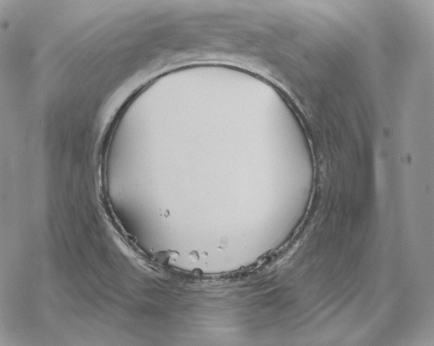 X0000069361511200606091548