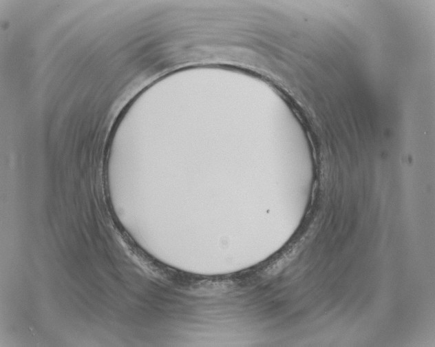 X0000069361513200606091548