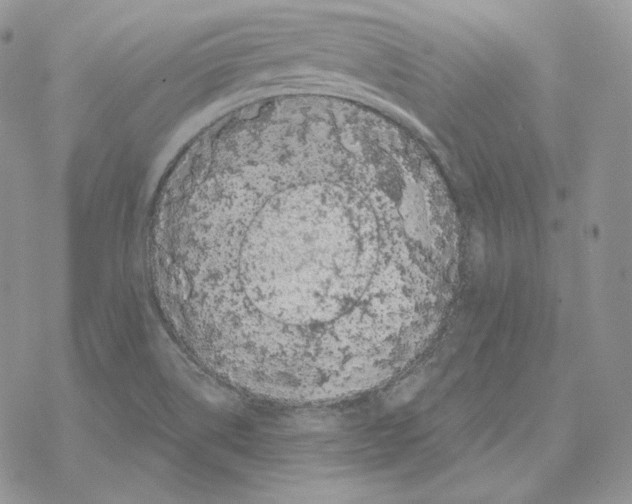 X0000069361514200606091548