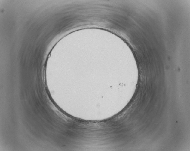 X0000069361516200606091548