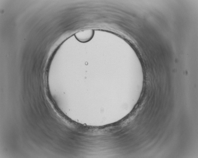 X0000069361517200606091548