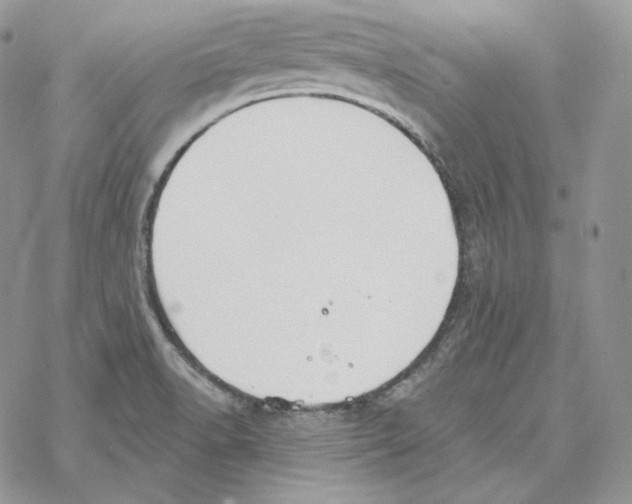 X0000069361518200606091548