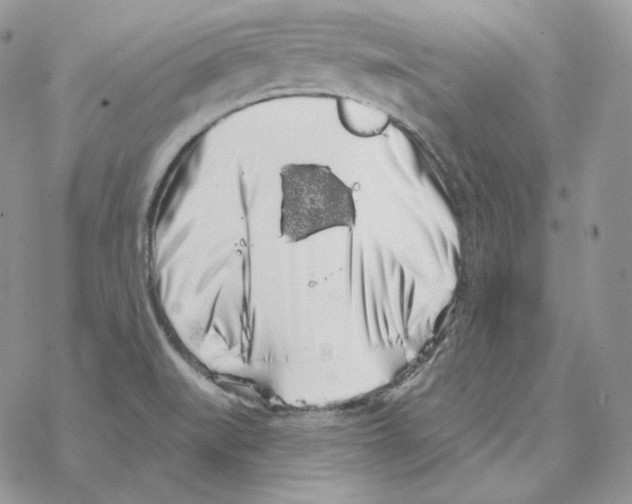 X0000069361519200606091548