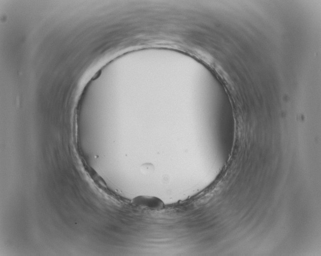 X0000069361520200606091548