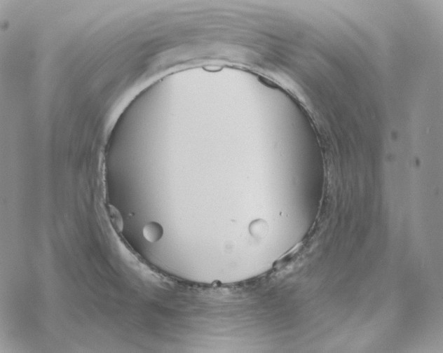 X0000069361524200606091548