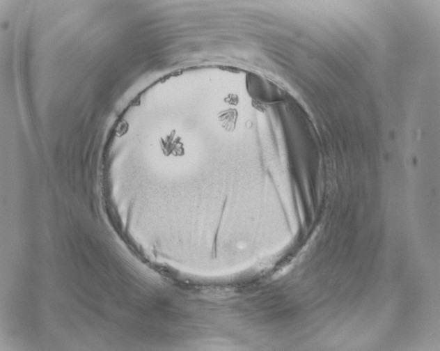 X0000069361525200606091548