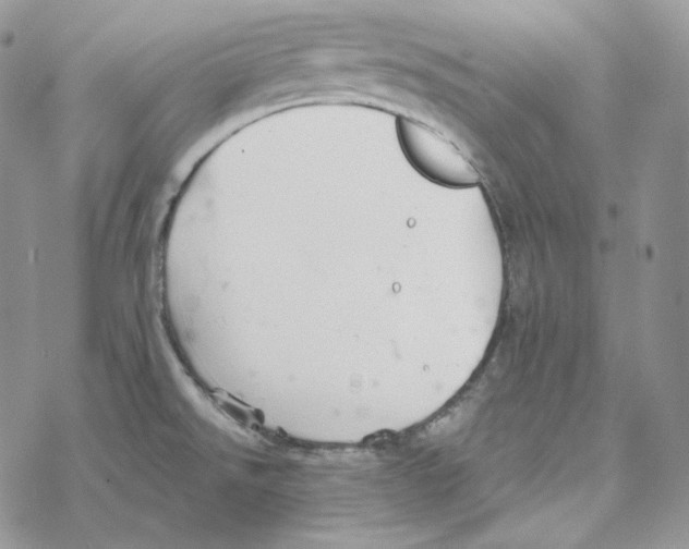 X0000069361526200606091548