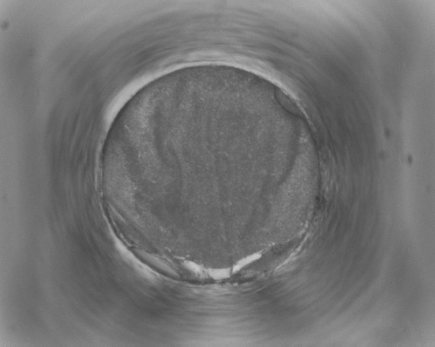 X0000069361527200606091548