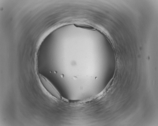 X0000069361528200606091548