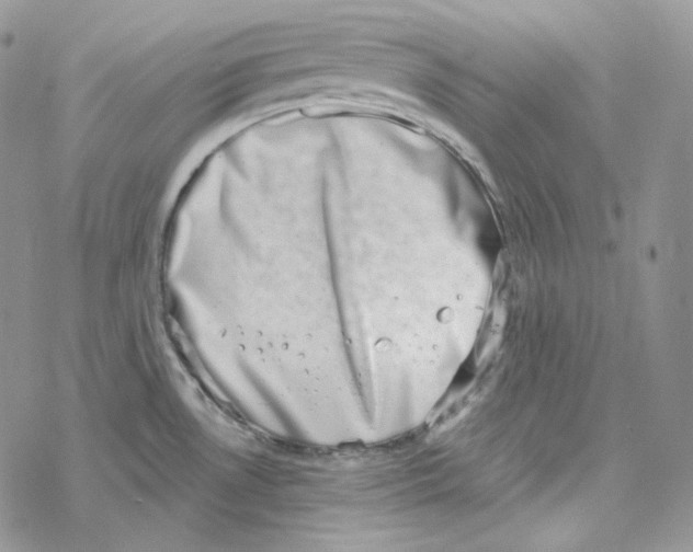 X0000069361530200606091548