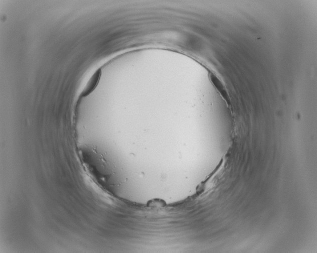 X0000069361532200606091548