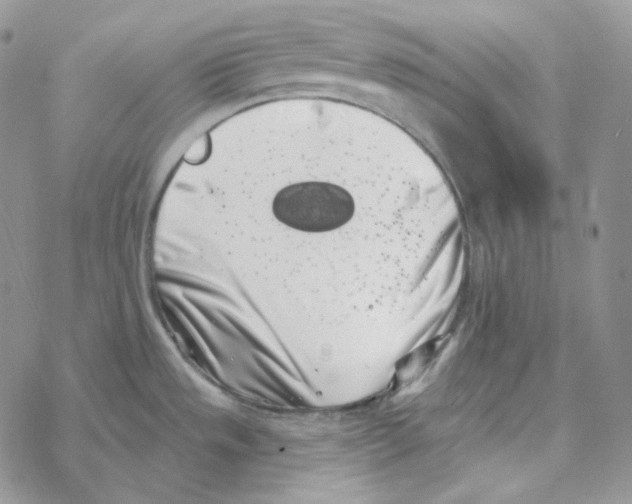 X0000069361533200606091548