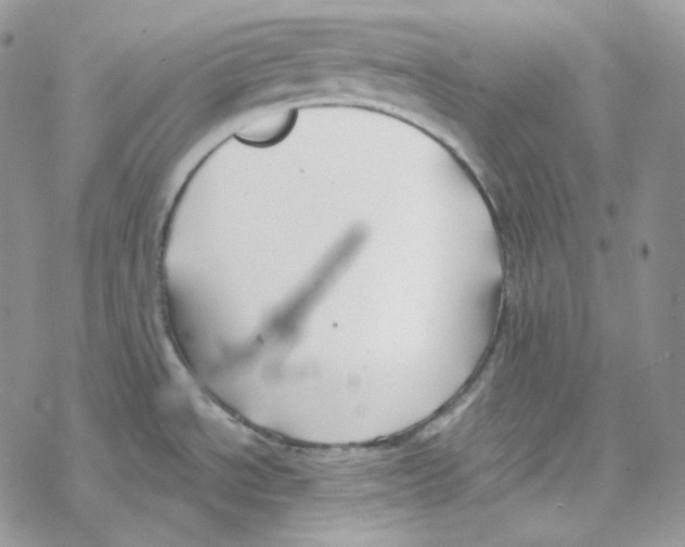 X0000069361534200606091548