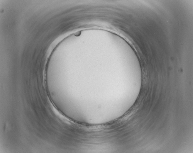 X0000069361535200606091548