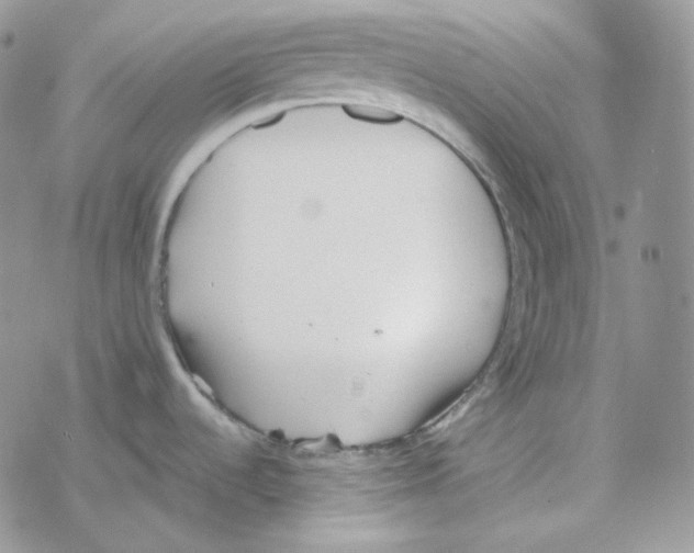 X0000069361536200606091548