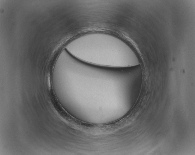 X0000069380020200605120929