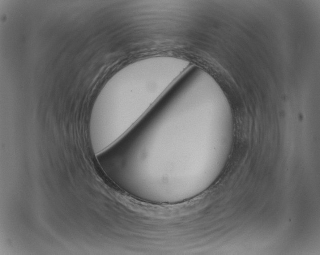X0000069380035200605120929
