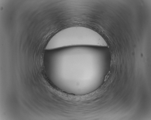 X0000069380043200605120929