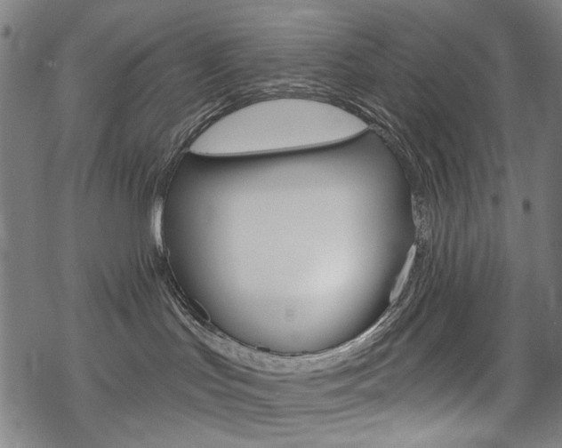 X0000069380047200605120929