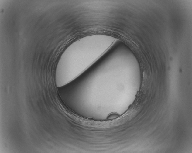 X0000069380048200605120929