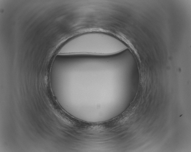 X0000069380063200605120928
