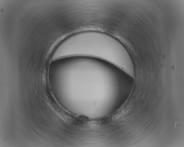 X0000069380064200605120928
