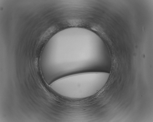X0000069380066200605120928