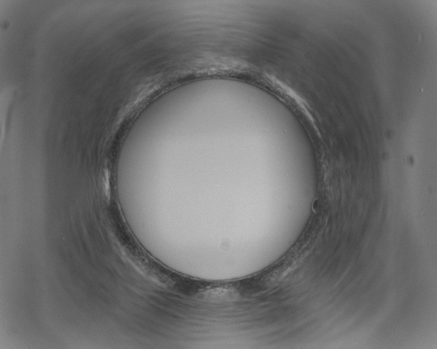 X0000069380067200605120928