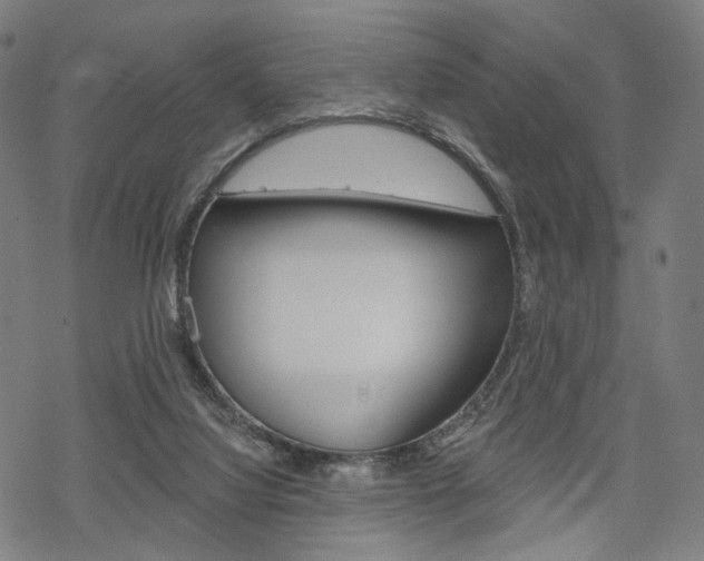 X0000069380068200605120928