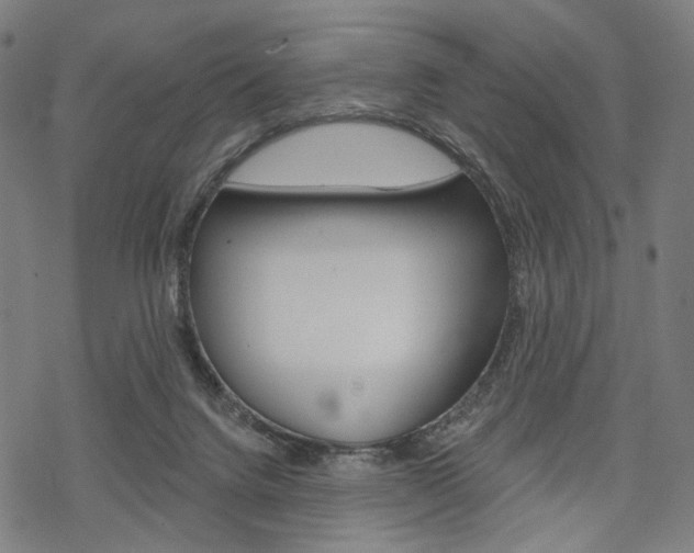 X0000069380072200605120928