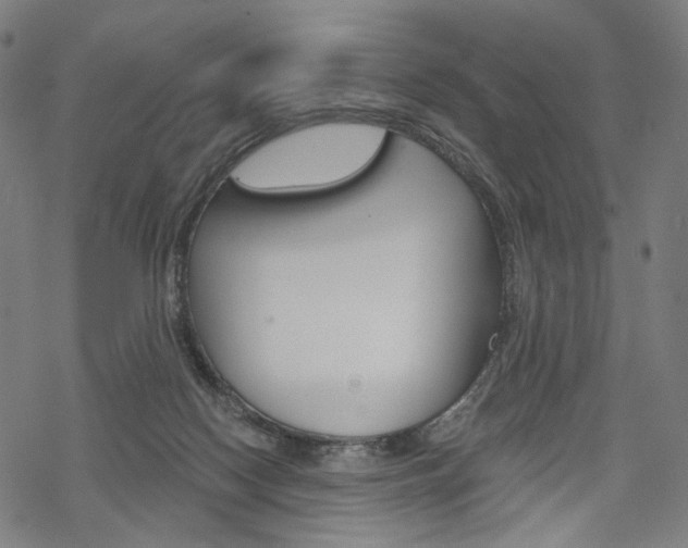 X0000069380074200605120928