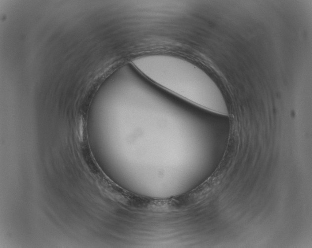 X0000069380076200605120928