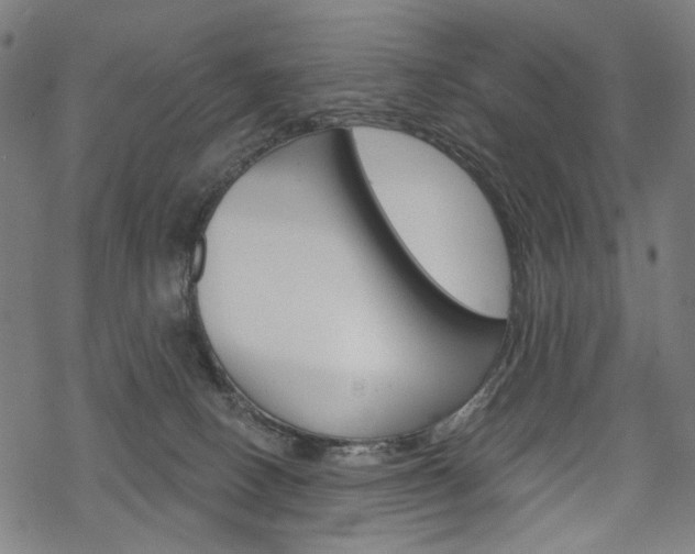 X0000069380082200605120929