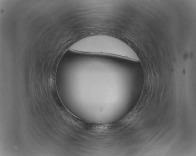 X0000069380084200605120929