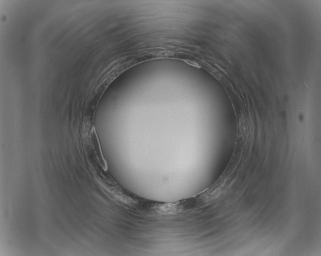 X0000069380092200605120929