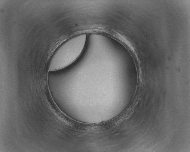 X0000069380105200605120928