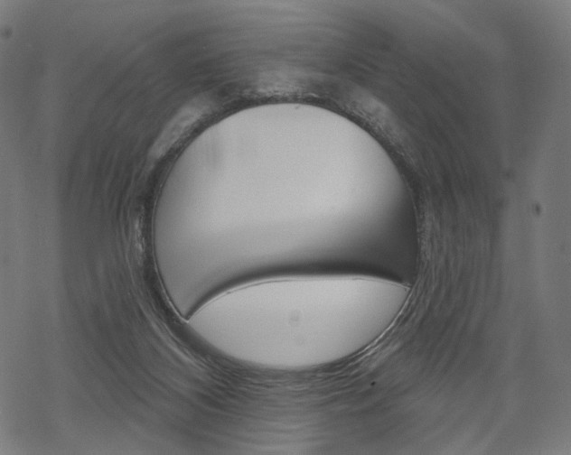 X0000069380116200605120928