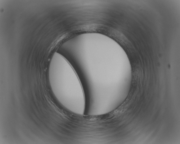 X0000069380120200605120928