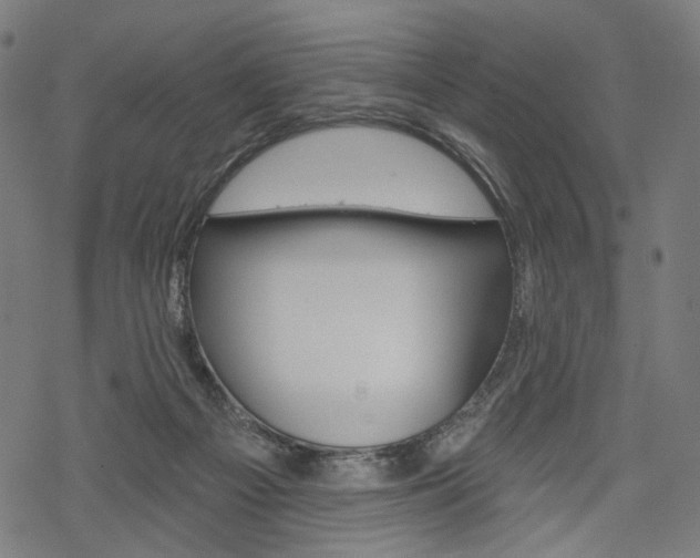 X0000069380121200605120928