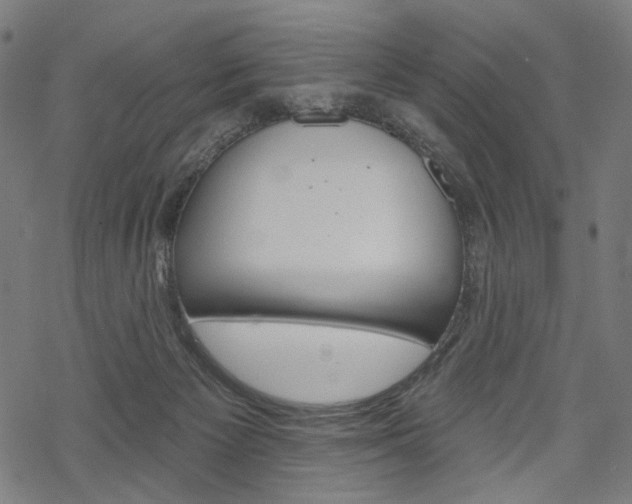 X0000069380125200605120928