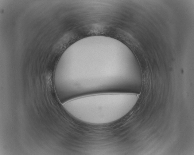 X0000069380127200605120928